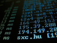 Establish an IT Company in Russia